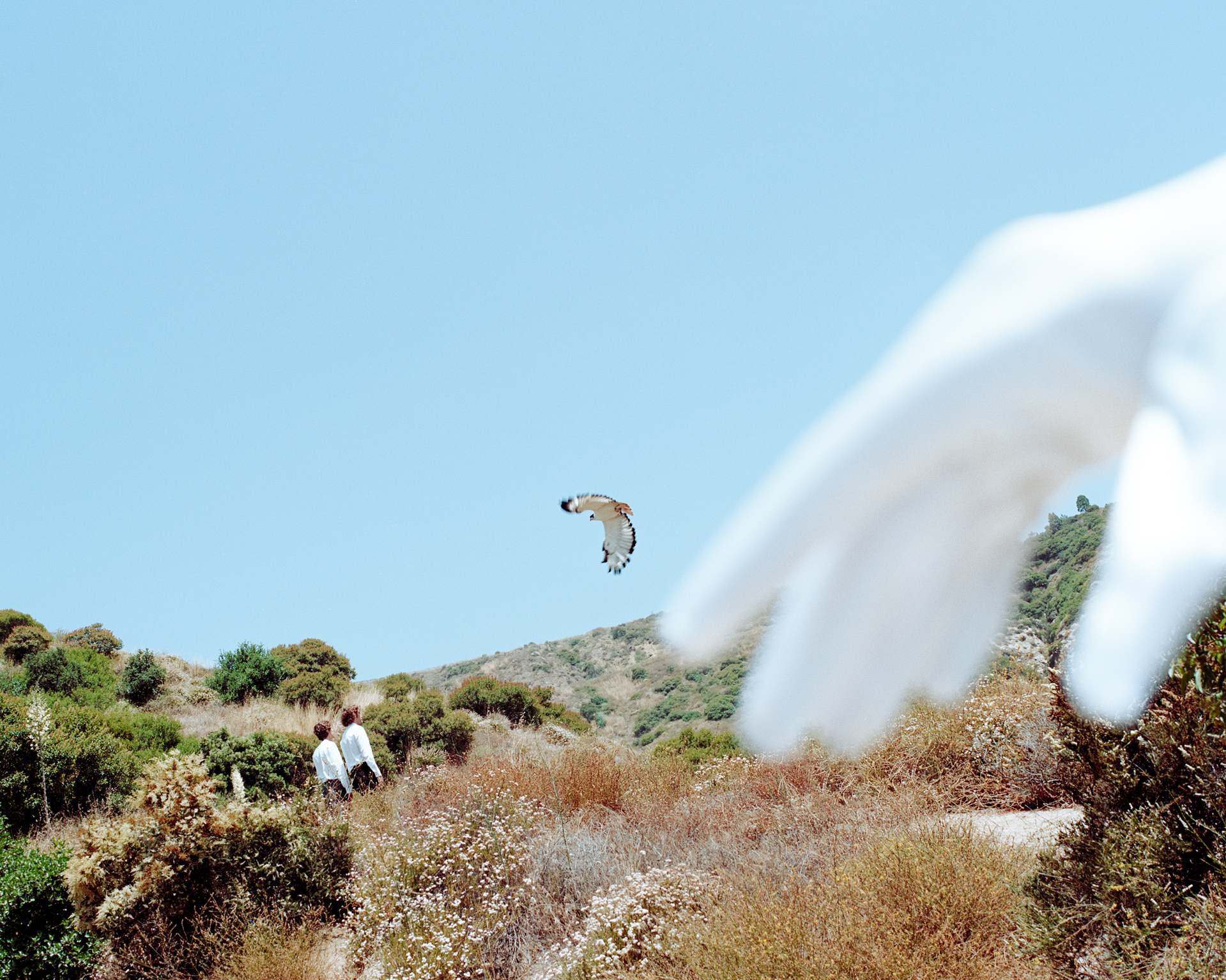 Fear of Death - William Rowan